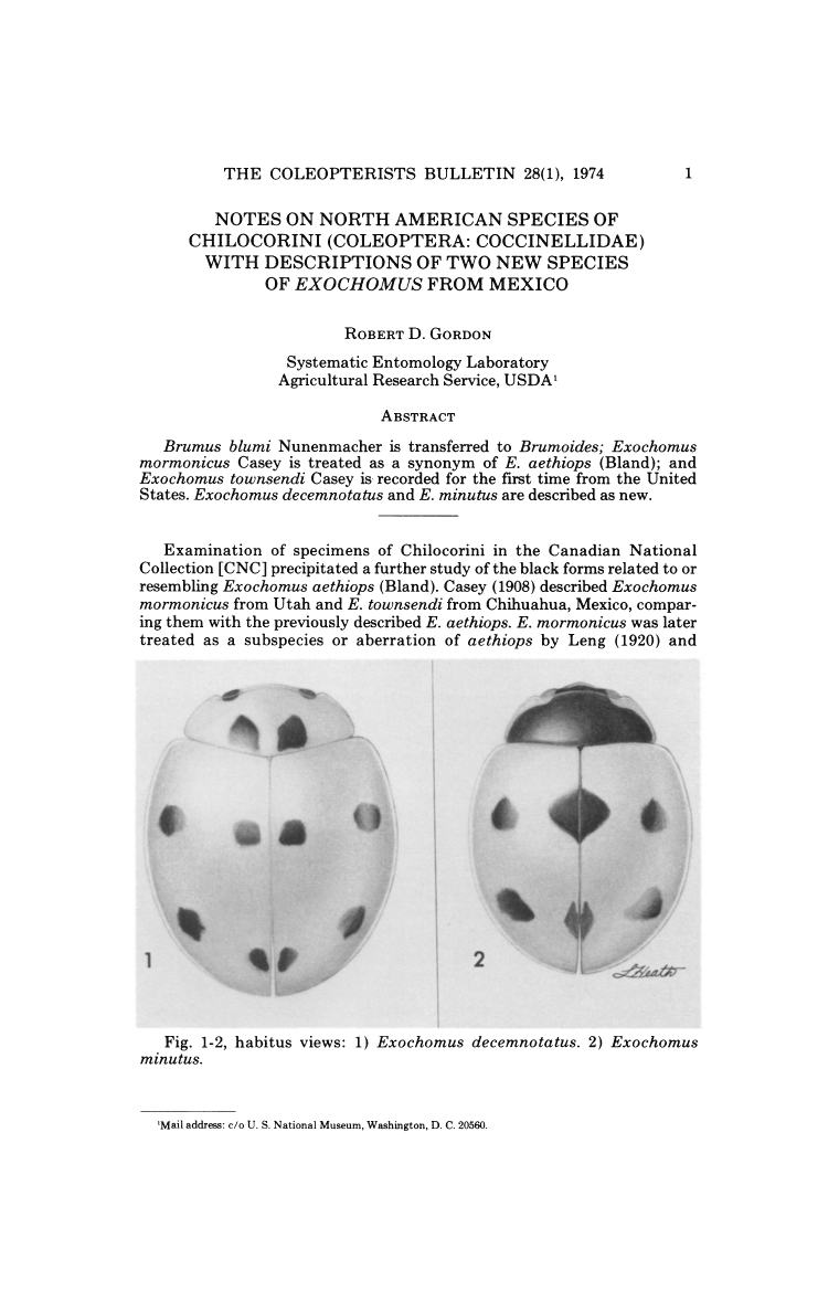Notes on North American Species of Chilocorini (Coleoptera: Coccinellidae) with Descriptions of Two New Species of Exochomus from Mexico
